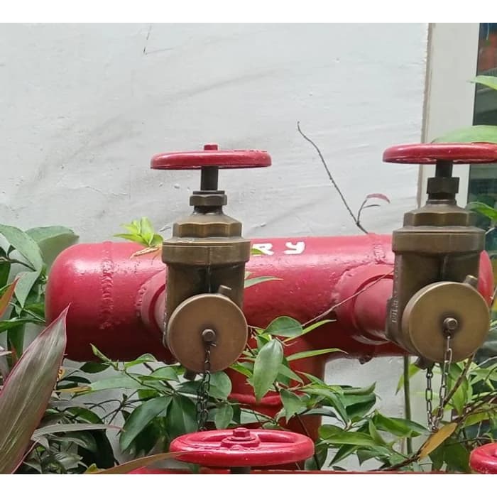 Hydrant Head